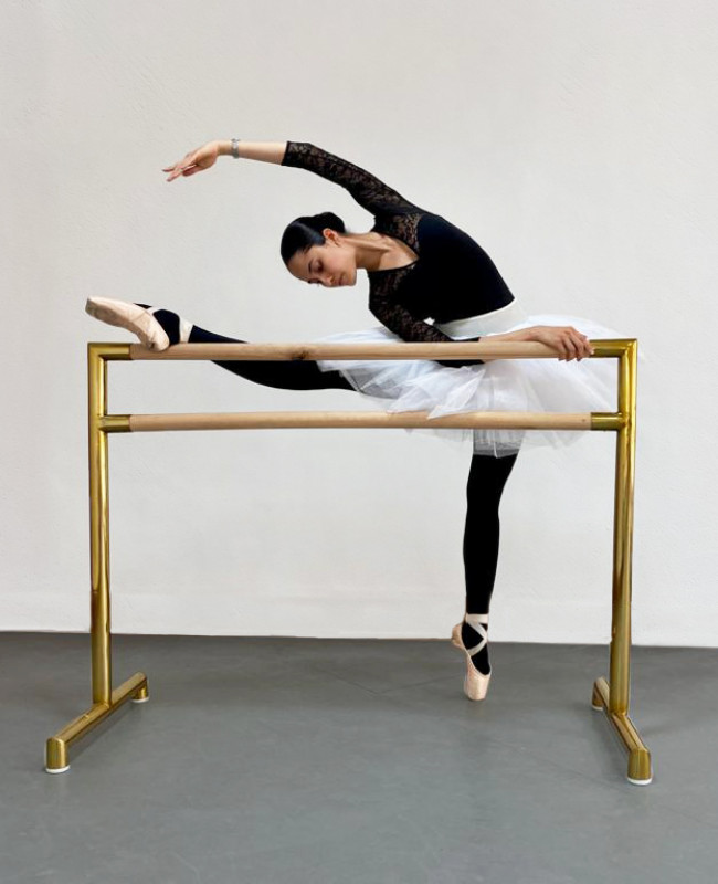 Bella Academy's Portable Ballet Barre